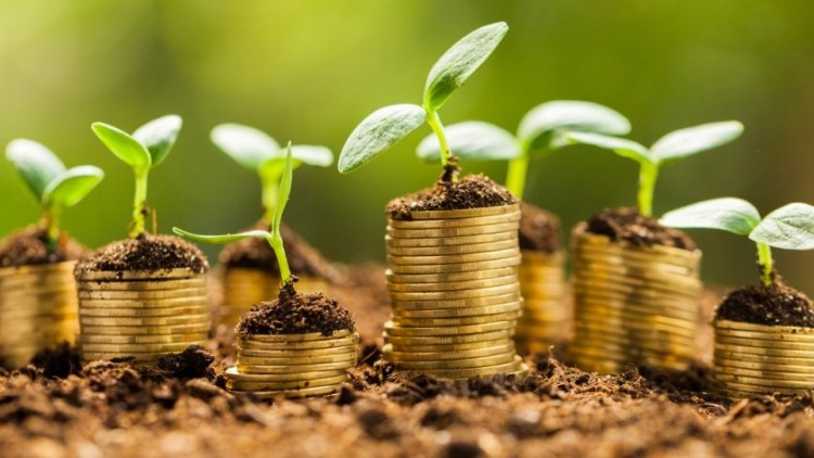 A commitment to growth