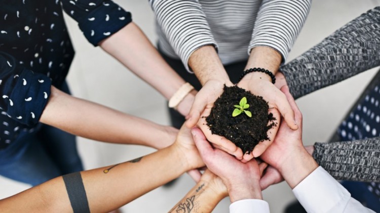 Carrying on a business in an SMSF