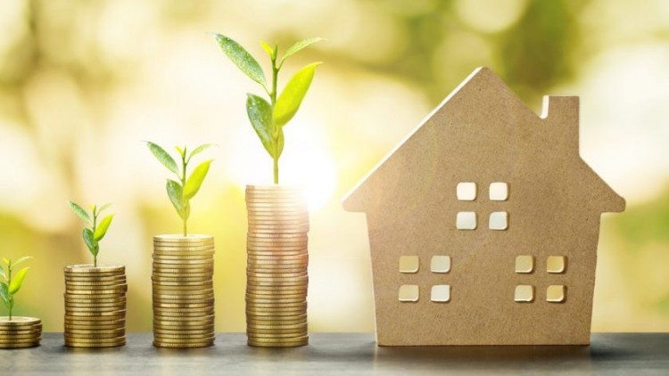 The in’s and out’s of asset allocation