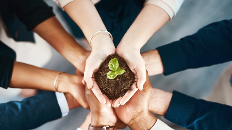 2019 Budget: A business growth based Budget
